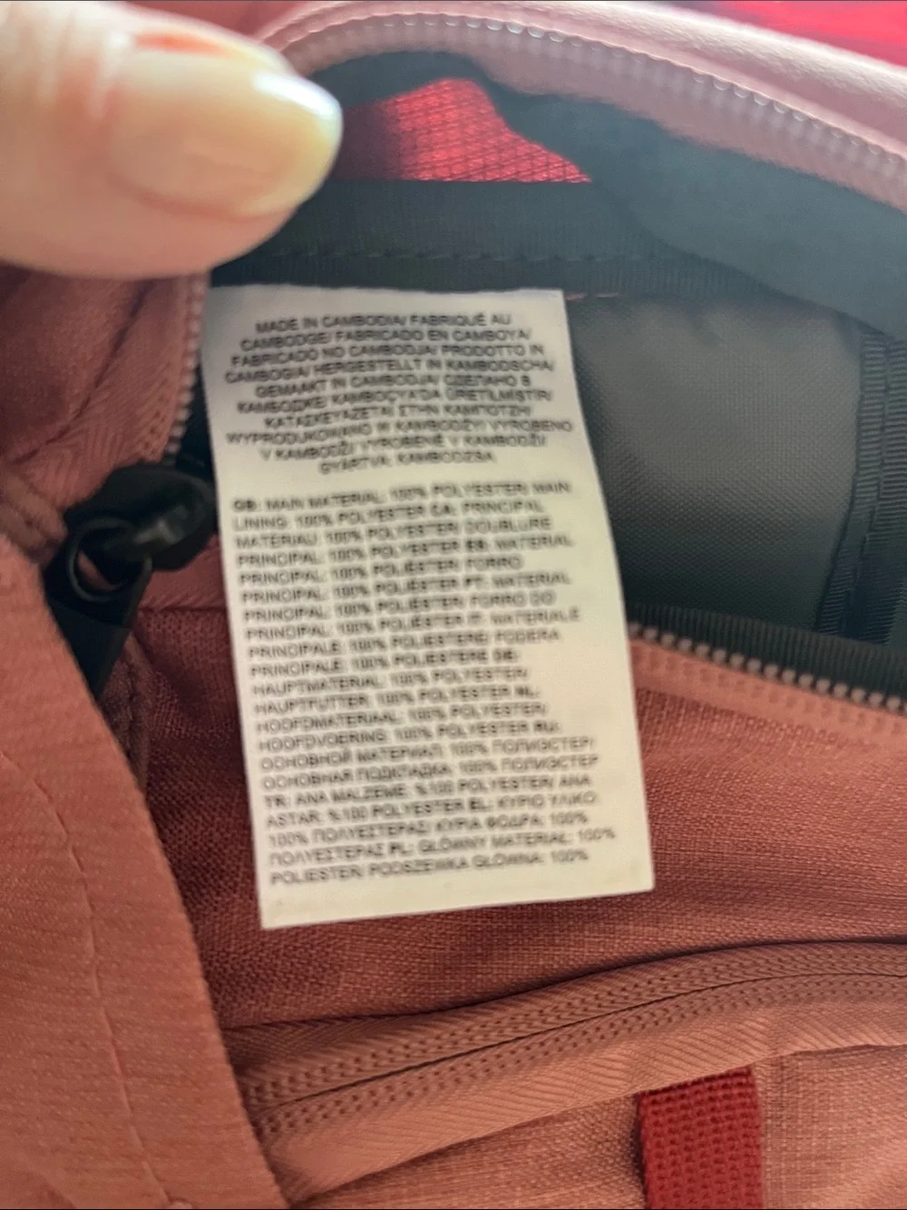 The North Face Vault Backpack - Dusty Rose with Red Accents